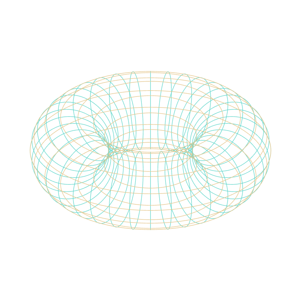 Line drawing of a torus